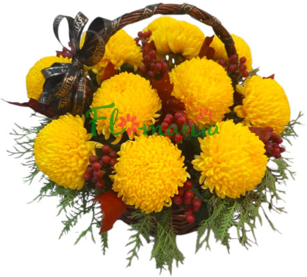Траурная корзина с жёлтыми хризантемами Creamiest Yellow